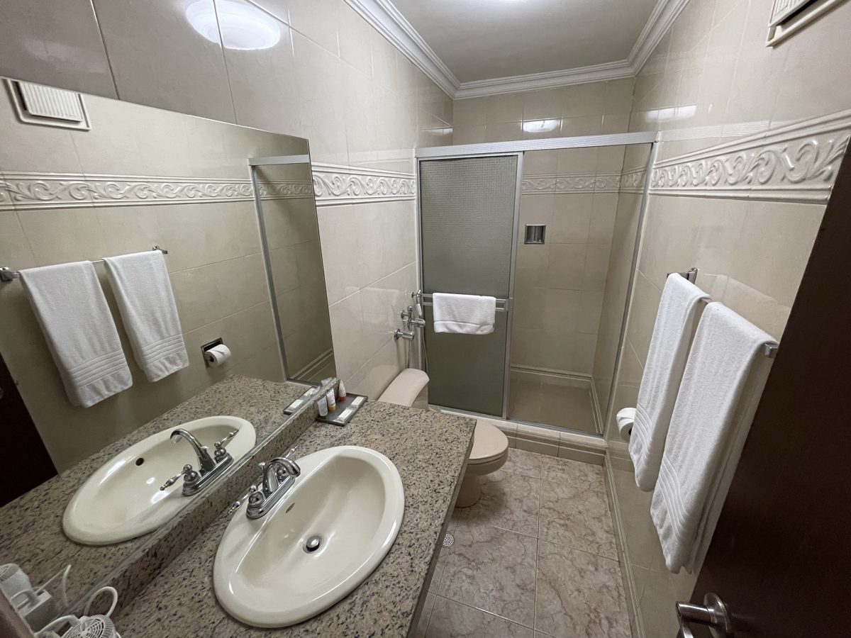 Gran Sevilla — baño privado con lavabo y ducha de vidrio