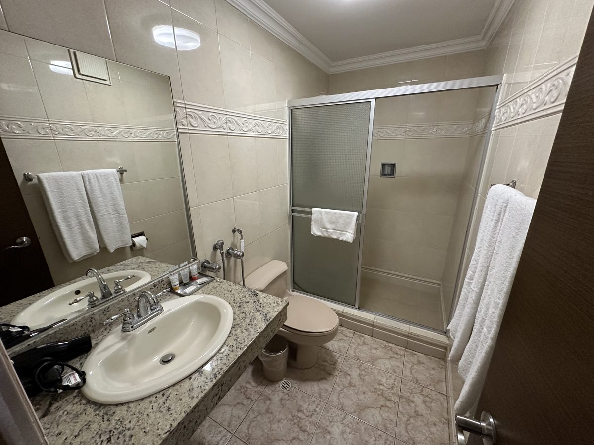 Suite Ejecutiva — baño privado con ducha de vidrio y secador de cabello